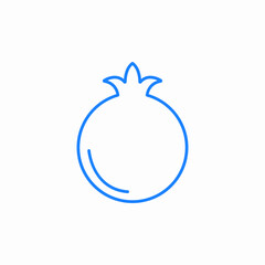 pomegranate fruit icon sign vector