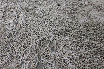 Crab Trails in Wet Sand. Texture of wet beach sand filled with countless small sand balls created...