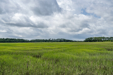 wormsloe historic site, georgia