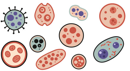 Simple vector style illustration of body cells