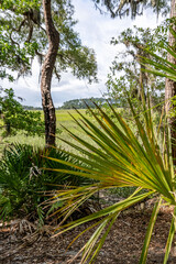 wormsloe historic site, georgia