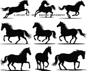 Horse movement silhouette study, black equine figures, galloping and trotting horse poses, detailed vector artwork