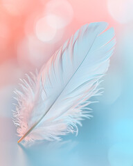Feather floating in air, soft concept