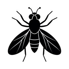 Lace Bug Insect Silhouette Vector Illustration