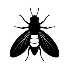 Leaf Miner Insect Silhouette Vector Illustration