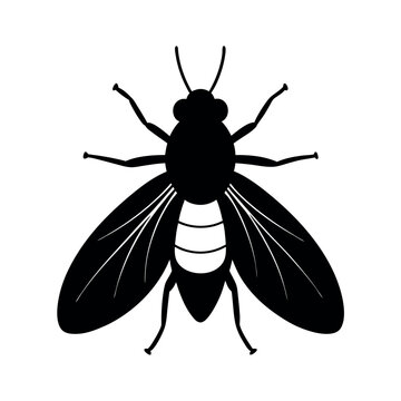 Leaf Miner Insect Silhouette Vector Illustration
