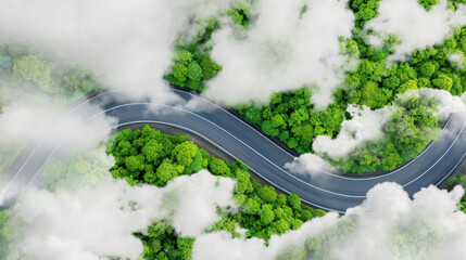 Aerial view of dense green trees in forest capture CO2 and curve highway road. Green trees background for carbon neutrality and net zero emissions concept. Sustainable green environment. Carbon credit