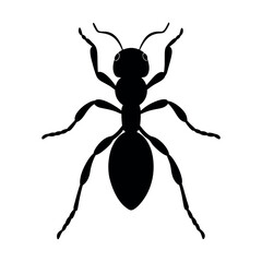 Pond Skater Insect Silhouette Vector Illustration