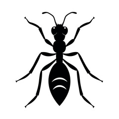 Powderpost Beetle Insect Silhouette Vector Illustration
