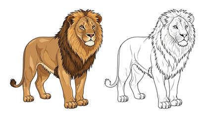 Obraz premium Asiatic Lion Coloring Page with Full Color and Detailed Outline Illustrations for Kids