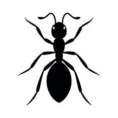 Sewer Gnat Insect Silhouette Vector Illustration