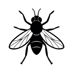 Squash Bug Insect Silhouette Vector Illustration