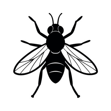 Squash Bug Insect Silhouette Vector Illustration