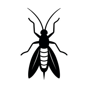 Trichogramma Wasp Insect Silhouette Vector Illustration