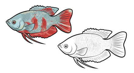 Gourami Fish Coloring Page with One Vibrant Colored and One Outline Fish Illustration