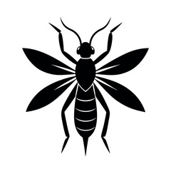 zorapteran vector silhouette.eps