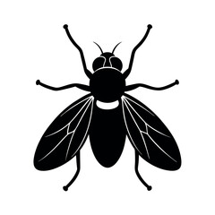 Boll Weevil Insect Silhouette Vector Illustration