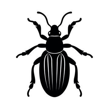 Botfly Insect Silhouette Vector Illustration