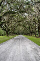 wormsloe plantation, georgia