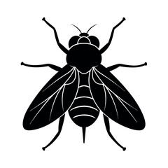 Codling Moth Insect Silhouette Vector Illustration