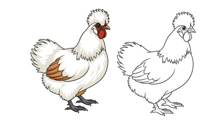Silkie Chicken Coloring Page Presenting Colored and Outline Chicken Illustrations