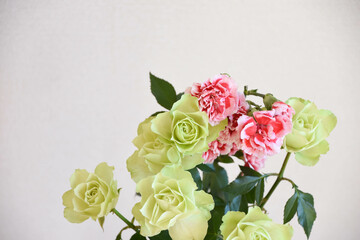 薔薇とカーネーション