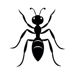 Glowworm Insect Silhouette Vector Illustration