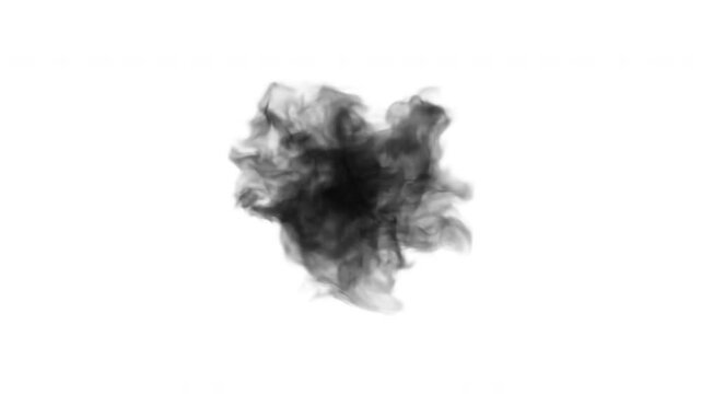 Ink Spread and Dissolve Animation with Chroma Key. 4K White and Black Ink Splash Footage