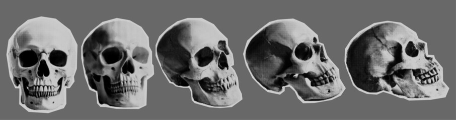 Skull different viewing angles. High quality vector halftone effect. Based on AI generated image 