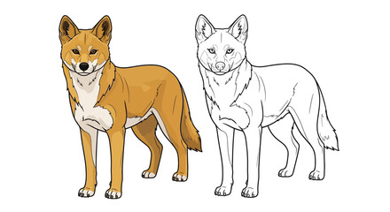 Naklejka premium Dingo Coloring Page with Full Color and Outline Wild Dogs for Educational Fun