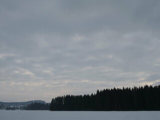 Snowy landscape with a few trees in the background