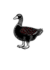 duck on a white background