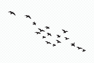 Minimal bird flight formation with white background Vector