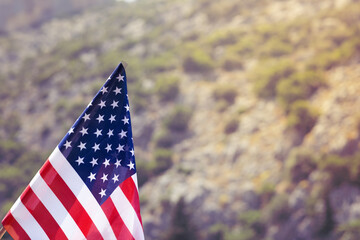 National USA flag on green natural blurred background