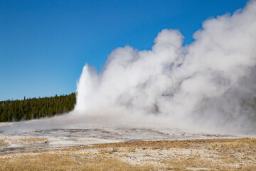 Geyser