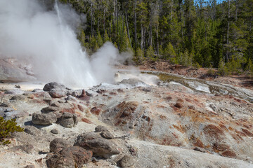 Norris geyser basin