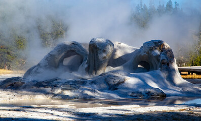 Geyser