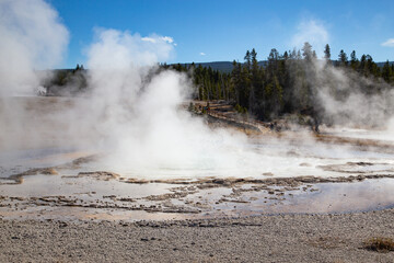 Geyser