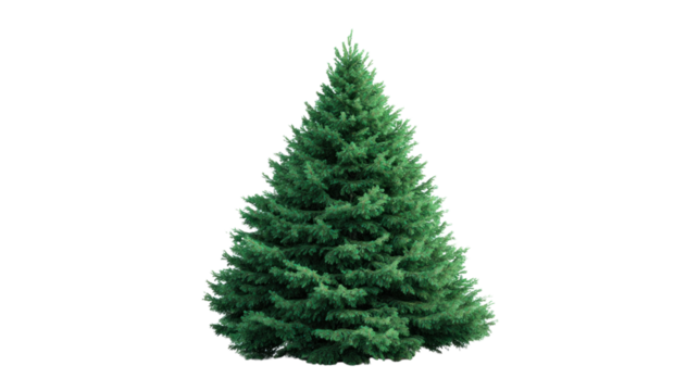 Verdant Pine Tree: Lush pine tree stands tall, its needles a vibrant green against backdrop. A symbol of resilience and growth in nature's embrace.