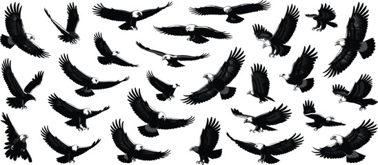 Silhouette Icons of Eagles in Flight: Various Poses and Movements for Wildlife Design
