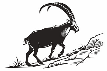 ibex sihouette black vector