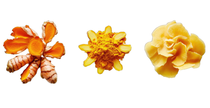 Turmeric root, powder, and sliced pieces