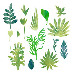 Botanical illustration of tropical leaves in collage technique, green leaves exotic plant in paper art technique, hand drawn brush texture, shape of exotic leaf, use as print, element design, label.