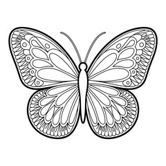 A butterfly illustration line art of a coloring page