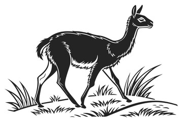 vicuna sihouette black vector