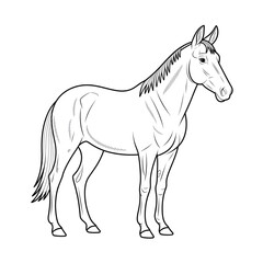 A mule illustration line art of a coloring page