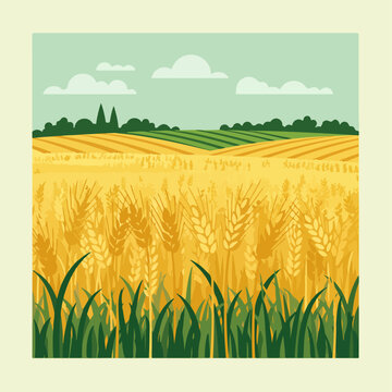 Golden wheat field landscape illustration.  Ripe wheat ears in summer field, green grass, rolling hills under blue sky with fluffy clouds.