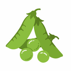 Fototapeta premium Fresh green peas pods and peas. Juicy green peas are perfect for healthy eating. Organic peas illustration for gardening magazines or blogs. This image is perfect for use in садоводство.