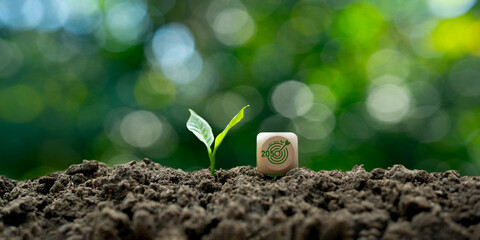 Net Zero and Carbon Neutral Greenhouse Gas Emissions Concept, Carbon Dioxide Emissions and 2050 Green Goals on Wooden Blocks