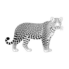 A leopard illustration line art of a coloring page